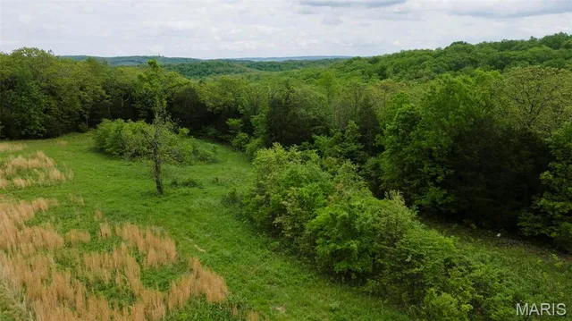 $221,500 | 0 Blackberry Hills Road, Bloomsdale, MO 63627