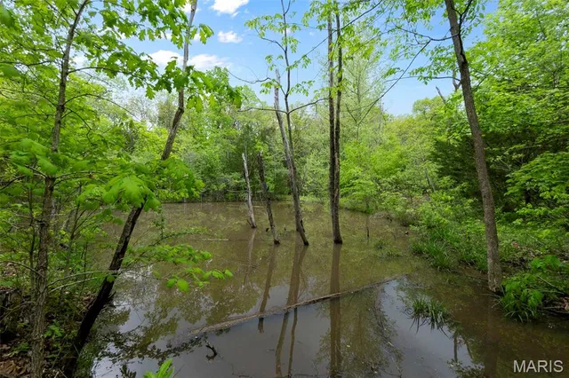 $221,500 | 0 Blackberry Hills Road, Bloomsdale, MO 63627