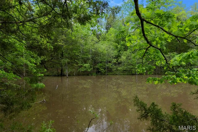 $221,500 | 0 Blackberry Hills Road, Bloomsdale, MO 63627