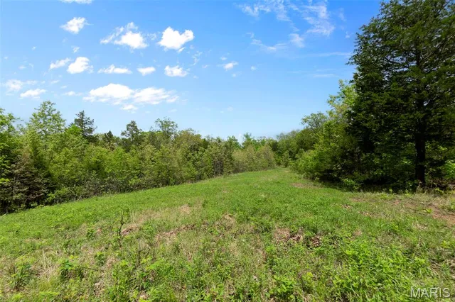 $221,500 | 0 Blackberry Hills Road, Bloomsdale, MO 63627
