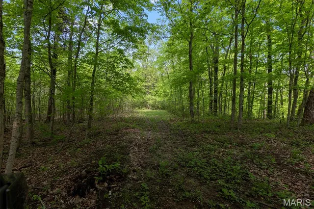 $221,500 | 0 Blackberry Hills Road, Bloomsdale, MO 63627