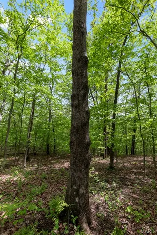 $221,500 | 0 Blackberry Hills Road, Bloomsdale, MO 63627