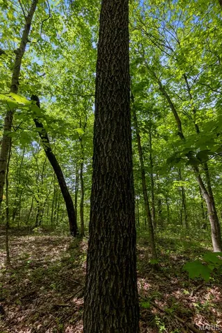 $221,500 | 0 Blackberry Hills Road, Bloomsdale, MO 63627