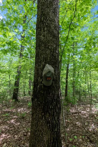 $221,500 | 0 Blackberry Hills Road, Bloomsdale, MO 63627