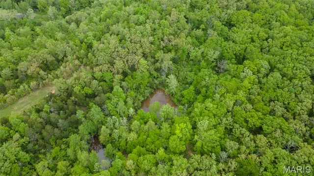 $221,500 | 0 Blackberry Hills Road, Bloomsdale, MO 63627