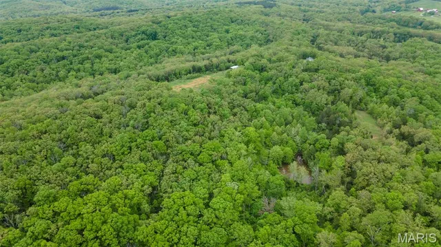 $221,500 | 0 Blackberry Hills Road, Bloomsdale, MO 63627