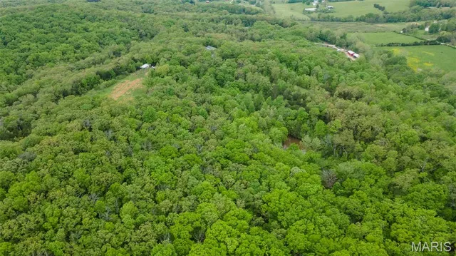 $221,500 | 0 Blackberry Hills Road, Bloomsdale, MO 63627