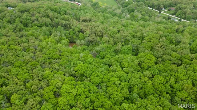 $221,500 | 0 Blackberry Hills Road, Bloomsdale, MO 63627