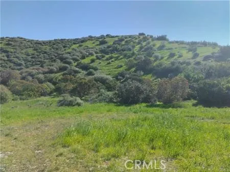 a view of a lush green space with sea