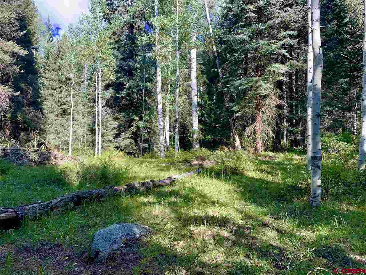 331 Wilderness Drive Durango, CO 81301 - Photo 2 of 15