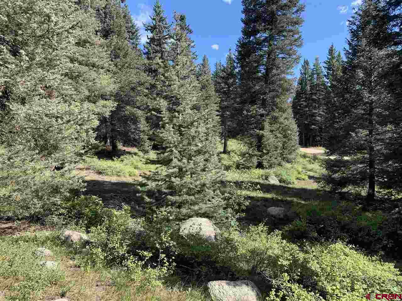 331 Wilderness Drive Durango, CO 81301 - Photo 3 of 15