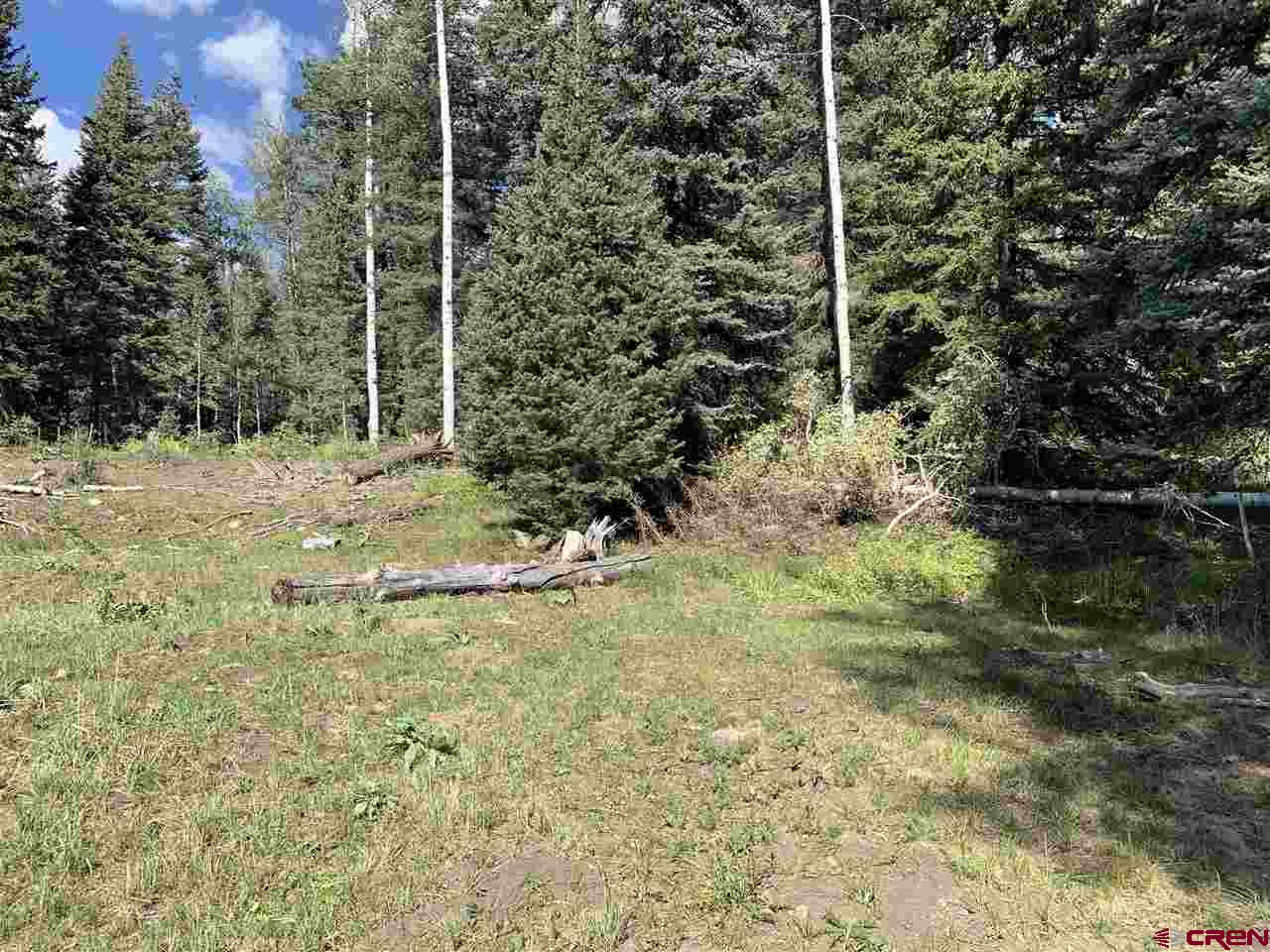 331 Wilderness Drive Durango, CO 81301 - Photo 4 of 15