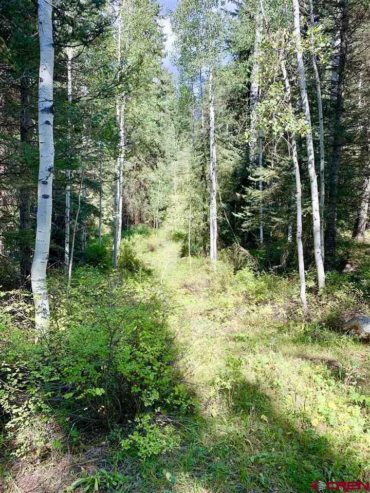 331 Wilderness Drive Durango, CO 81301 - Photo 5 of 15