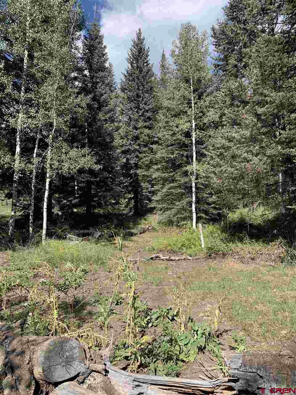 331 Wilderness Drive Durango, CO 81301 - Photo 10 of 15