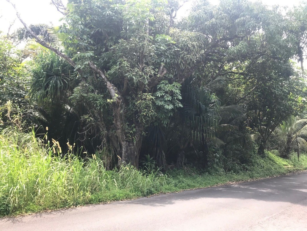 77 Government Beach Road Pahoa, HI 96778 - Photo 2 of 6