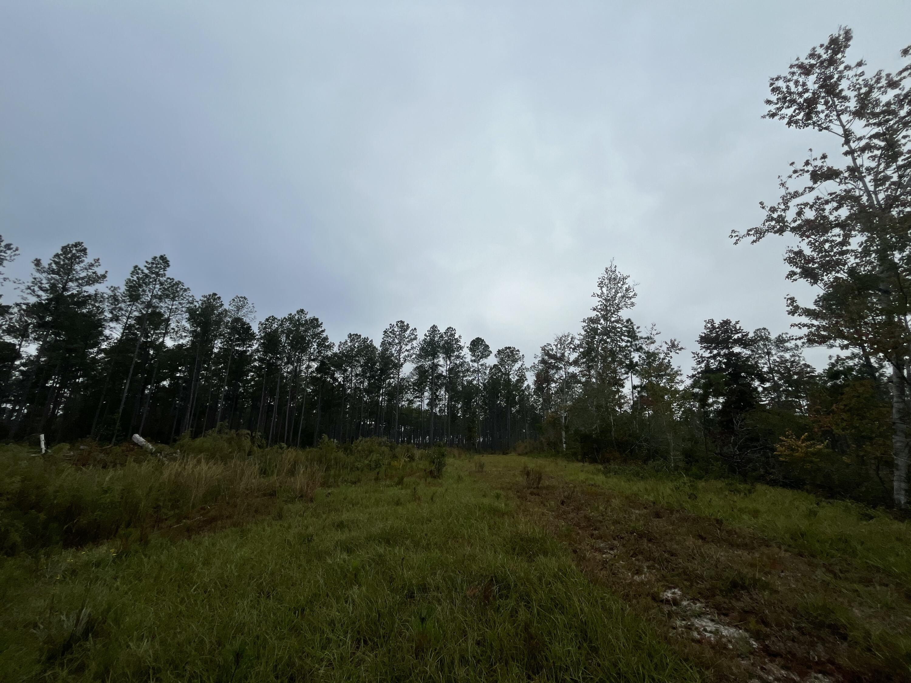 0 Peniel Road Walterboro, SC 29488 - Photo 10 of 15 30