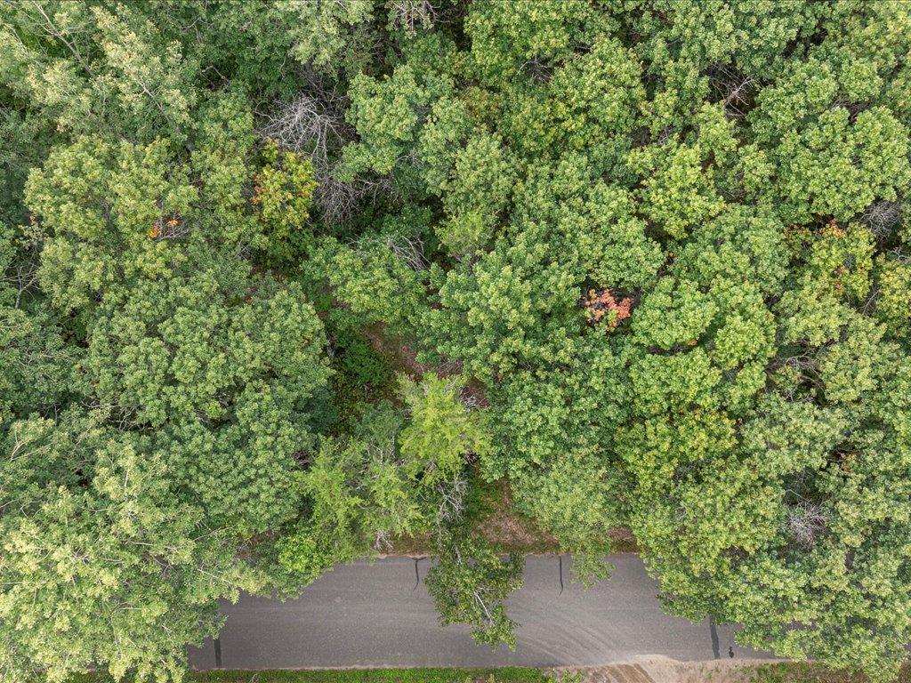 Parcel G East Horseshoe Lake Road Merrifield, MN 56465 - Photo 18 of 28 Gallery Image 18