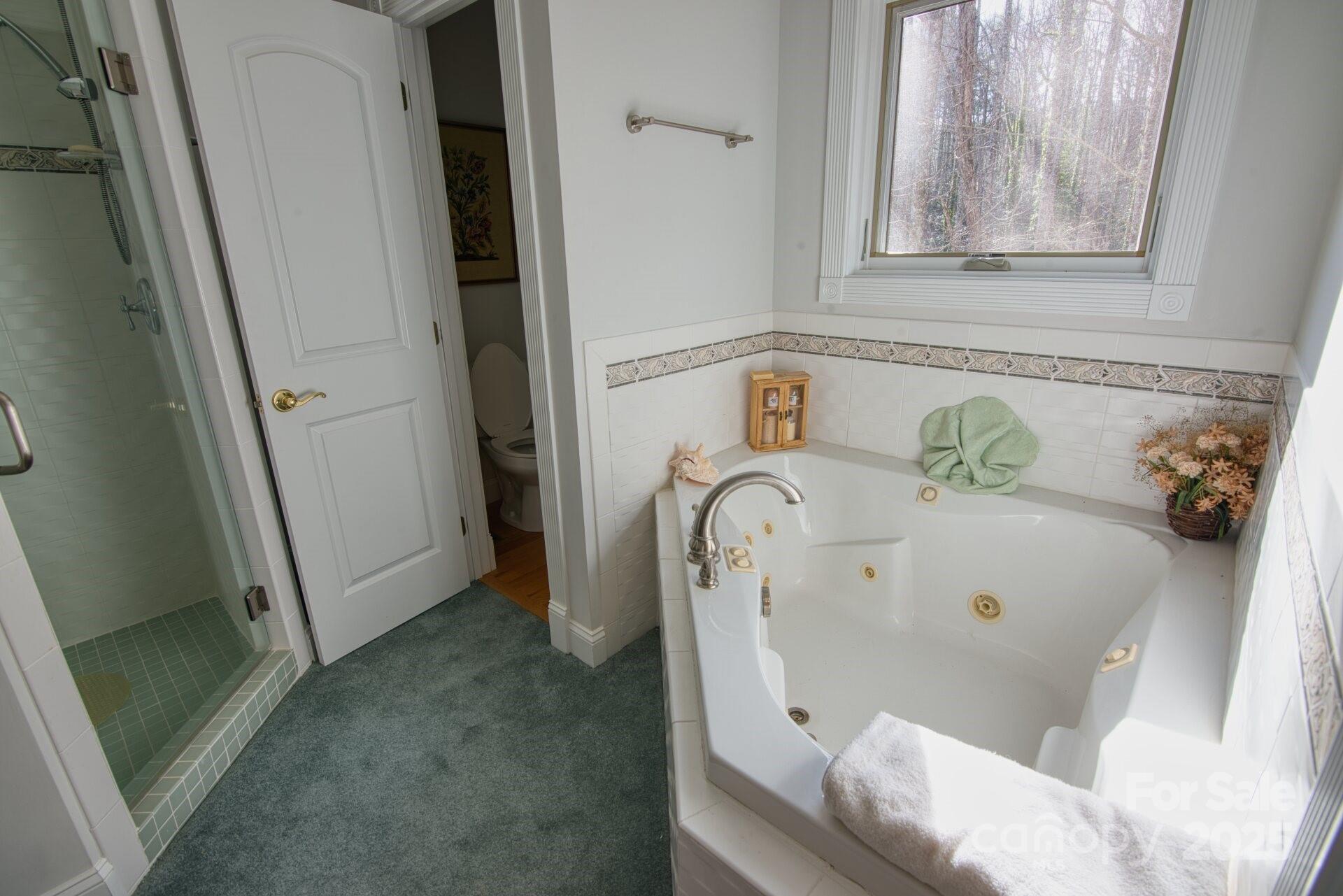 1468 Mt Olivet Road Zirconia, NC 28790 - Photo 26 of 47