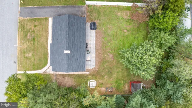 a view of a small garden