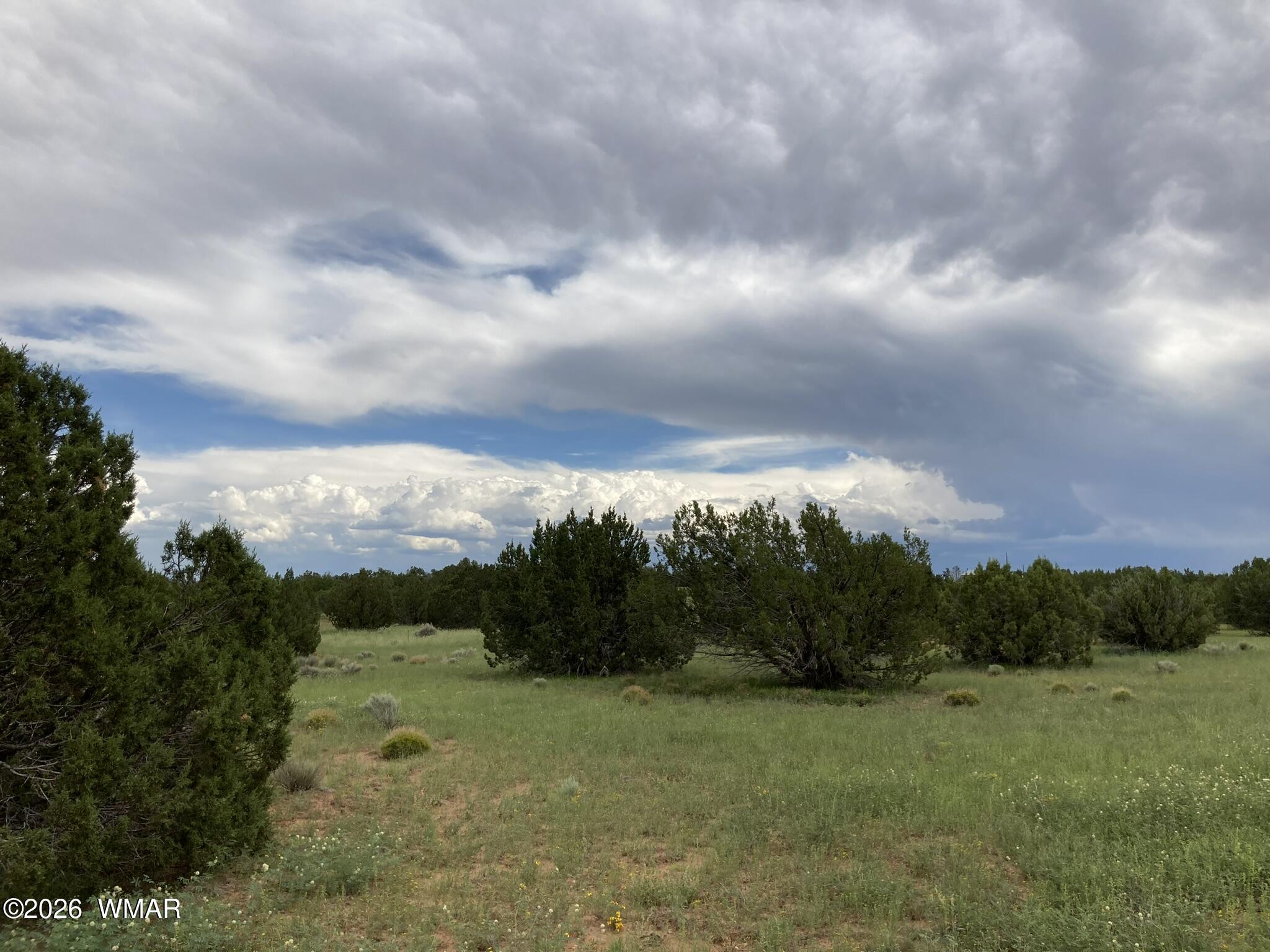 4979 Tharp Road Snowflake, AZ 85937 - Photo 18 of 19
