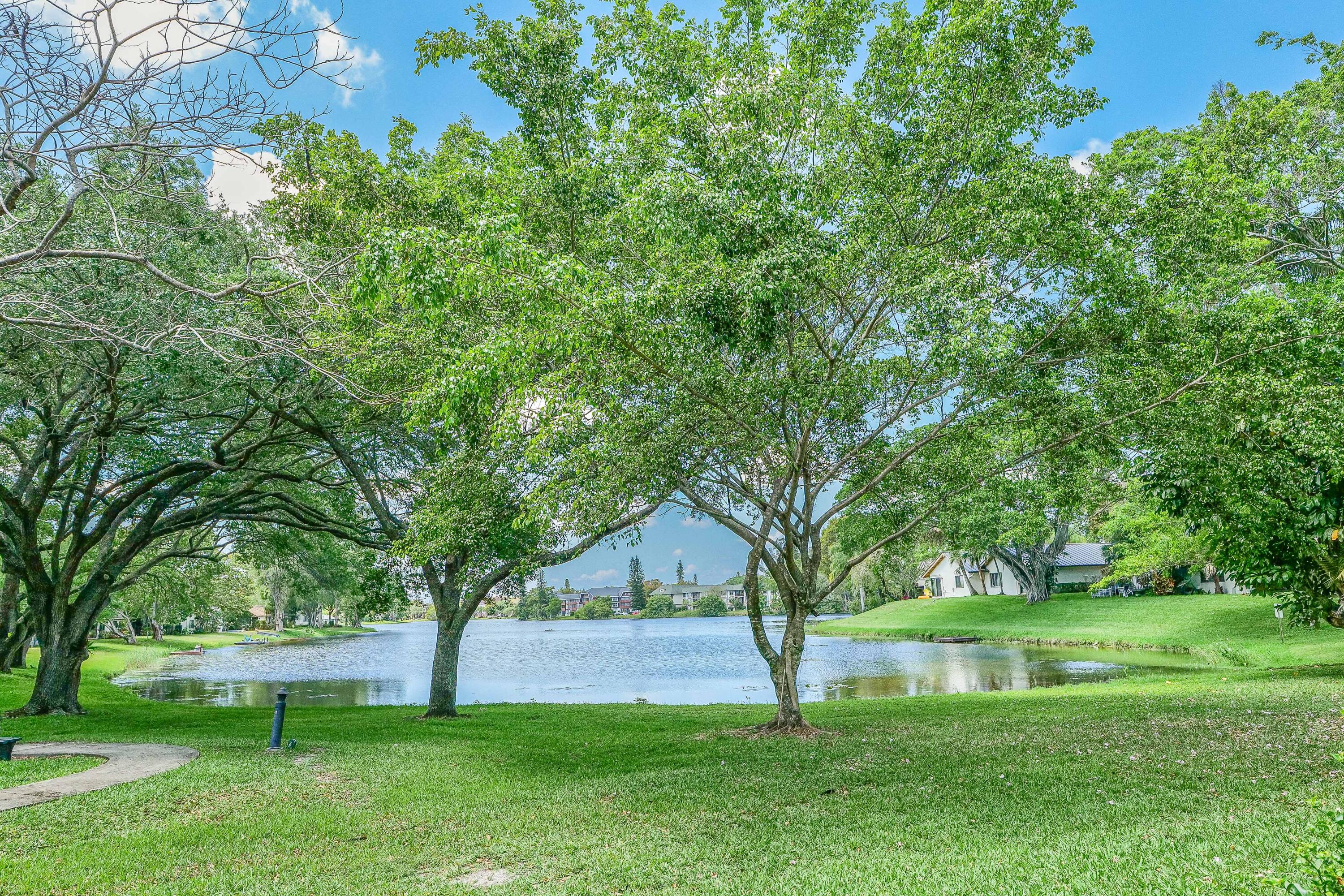 a huge green field with lots of trees
