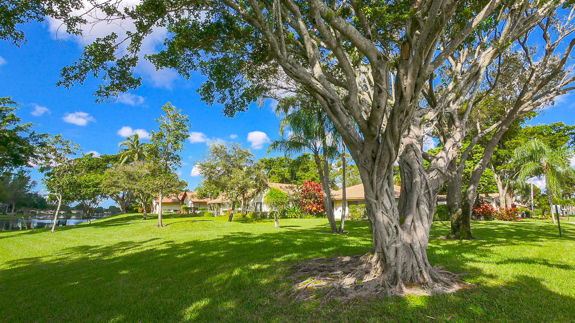 3425 Lime Hill Road, Unit 169 Lauderhill, FL 33319 - Photo 40 of 51 a view of yard with a tree