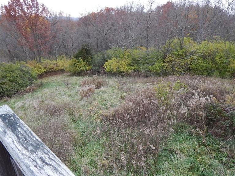 3028 Daniels Road California, KY 41007 - Photo 6 of 24 Gallery Image 6
