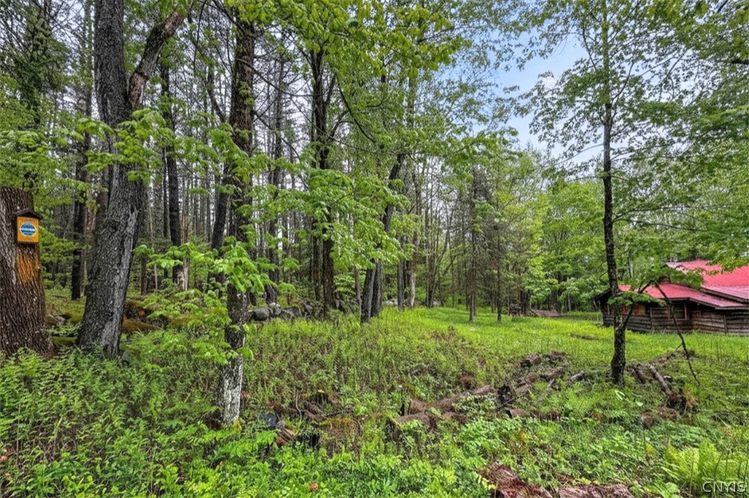1848 Gray-Wilmurt Road Ohio, NY 13324 - Photo 36 of 39