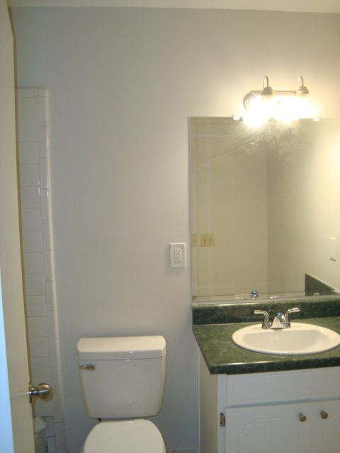 8224 Bryn Mawr Lane Columbus, GA 31904 - Photo 13 of 19 a bathroom with a toilet sink and mirror