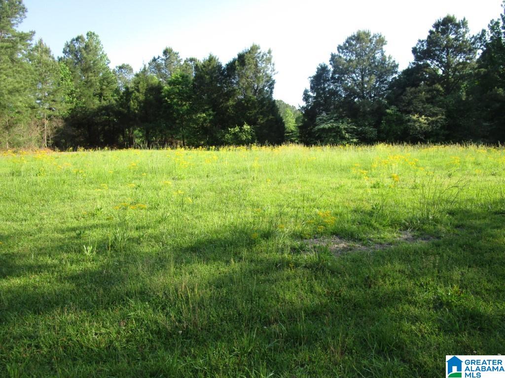 4956 Kings Mill Road Oakman, AL 35579 - Photo 22 of 27