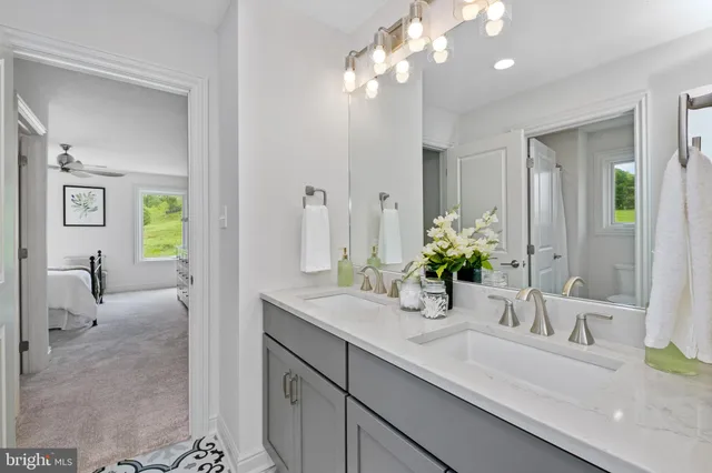 a bathroom with a sink a potted plant and a mirror