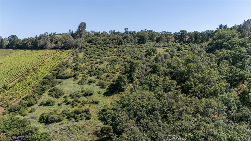 13520 Point Lakeview Road Lower Lake, CA 95457 - Photo 13 of 31
