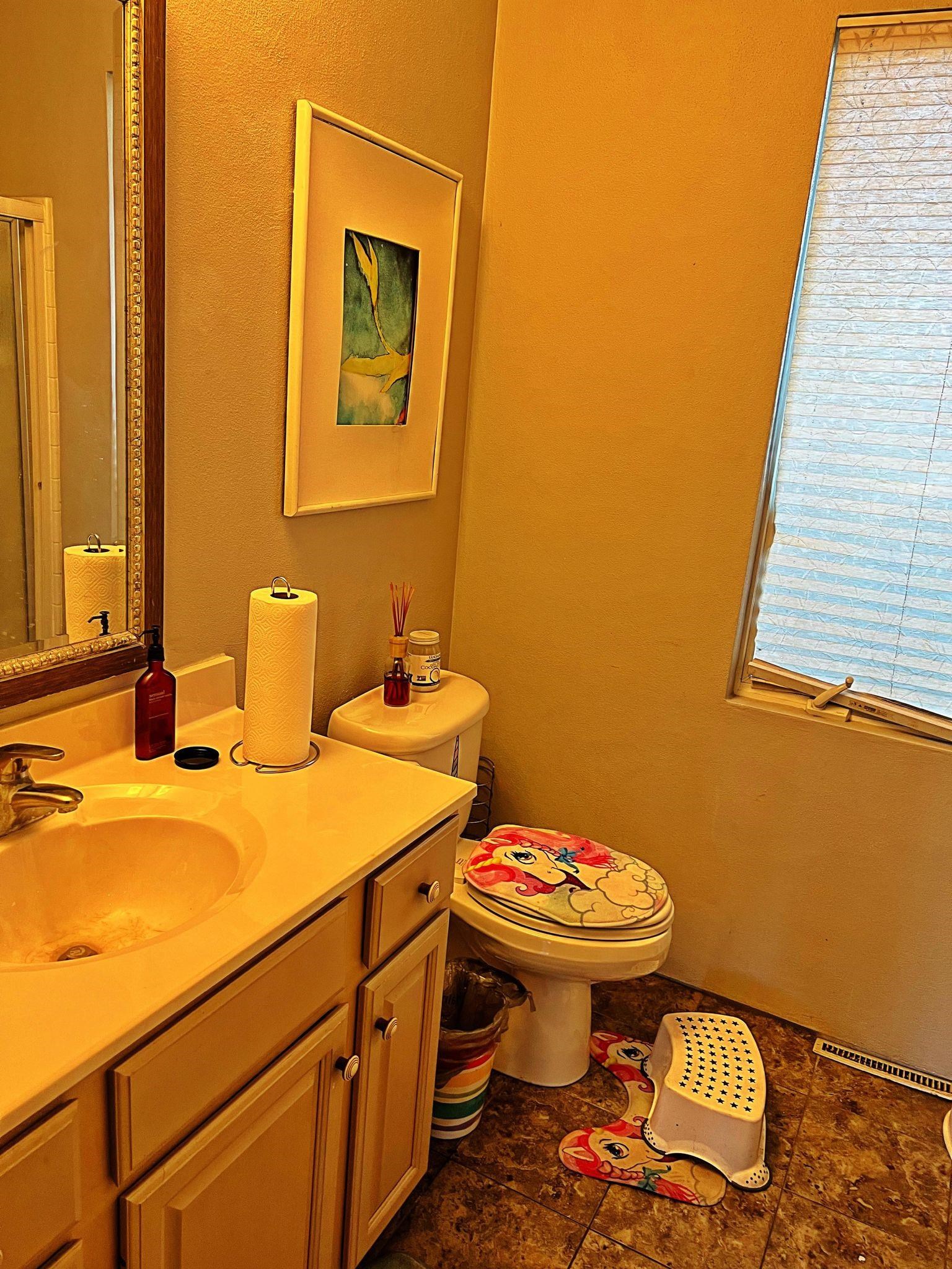916 Olson Spring Close Belvidere, IL 61008 - Photo 5 of 32 a bathroom with a sink and a toilet