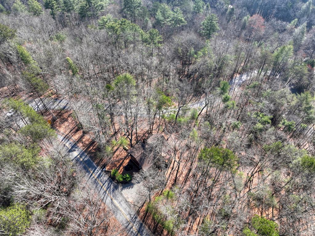 1183 Bear Paw Trail Blue Ridge, GA 30513 - Photo 53 of 73 Ariel of the Private Setting