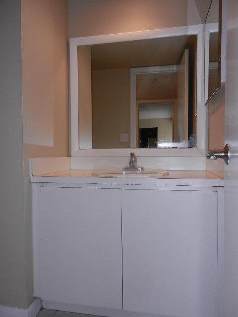 1023 Springdale Court Palm Springs, FL 33461 - Photo 4 of 15 guest bath