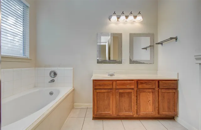 a bathroom with a bathtub a sink and a mirror