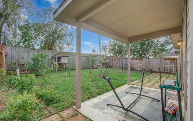 a view of a backyard with plants and a garden