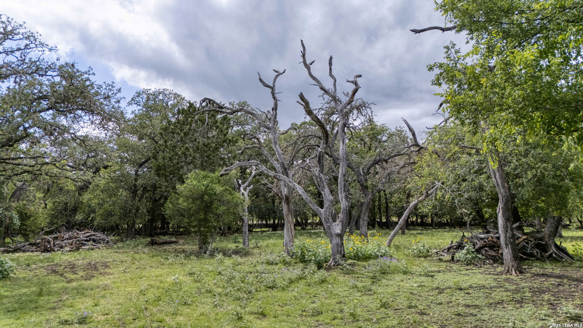 340 Rio Oak Road Pipe Creek, TX 78063 - Photo 29 of 39