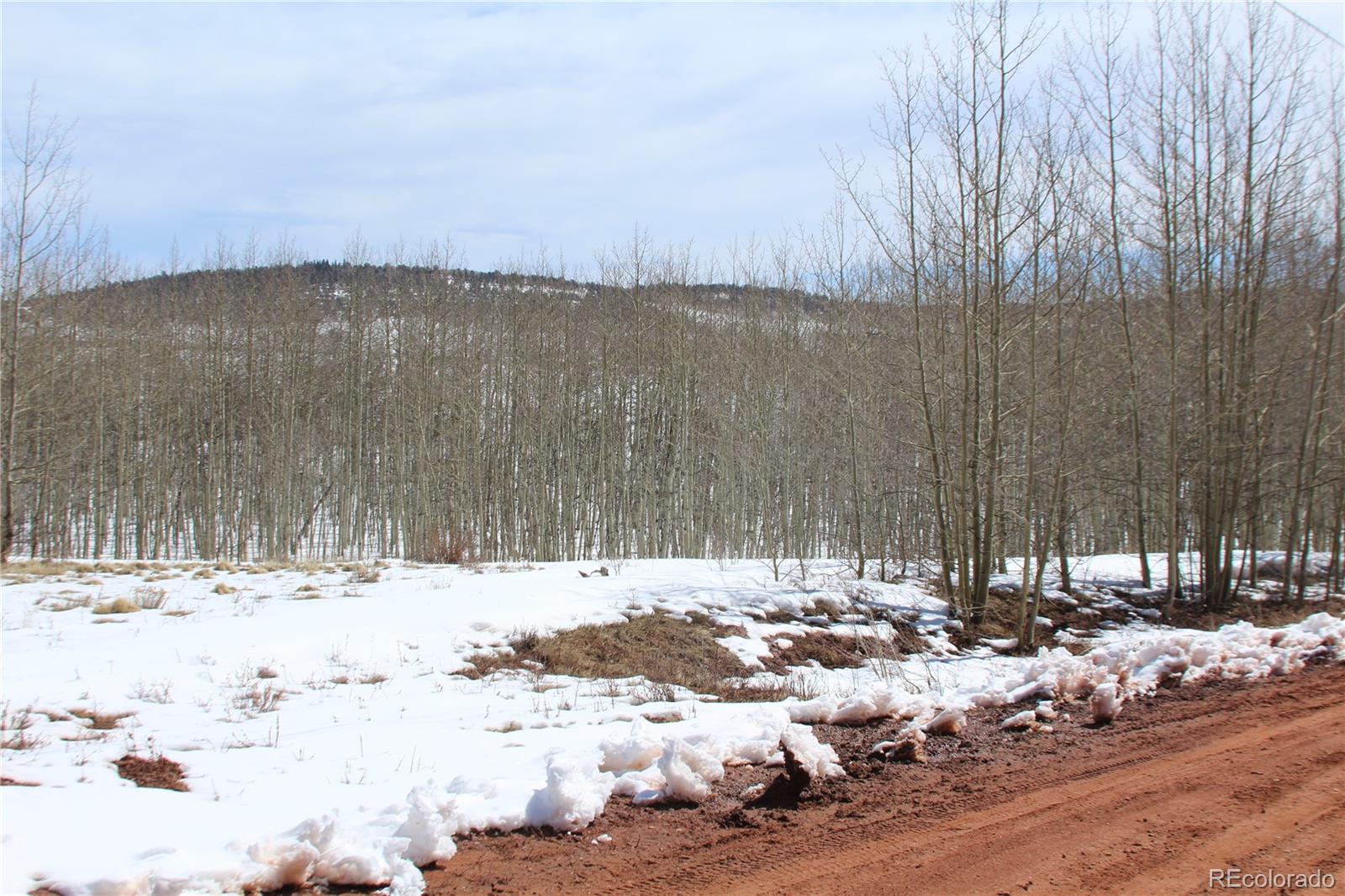 568 Dry Lake Road Fairplay, CO 80440 - Photo 11 of 19 Gallery Image 11