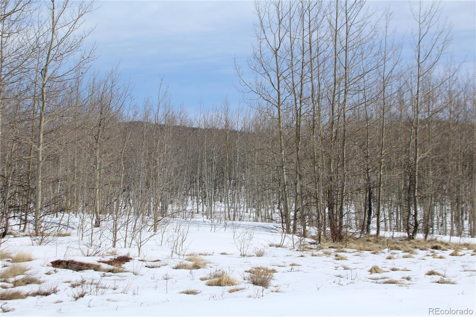 568 Dry Lake Road Fairplay, CO 80440 - Photo 9 of 19 Gallery Image 9