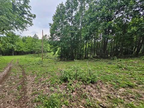 1366 Spring Valley Road Marion, VA 24354 - Photo 6 of 21 Gallery Image 6