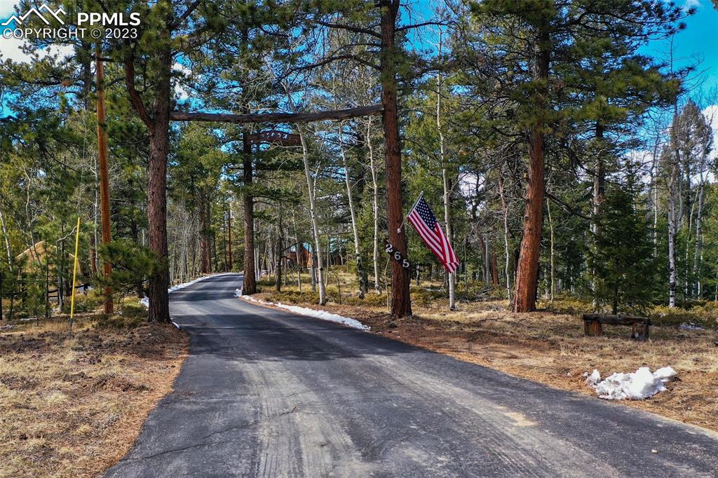 265 Broken Wheel Drive Divide, CO 80814 - Photo 41 of 50 a view of a park with large trees and a park
