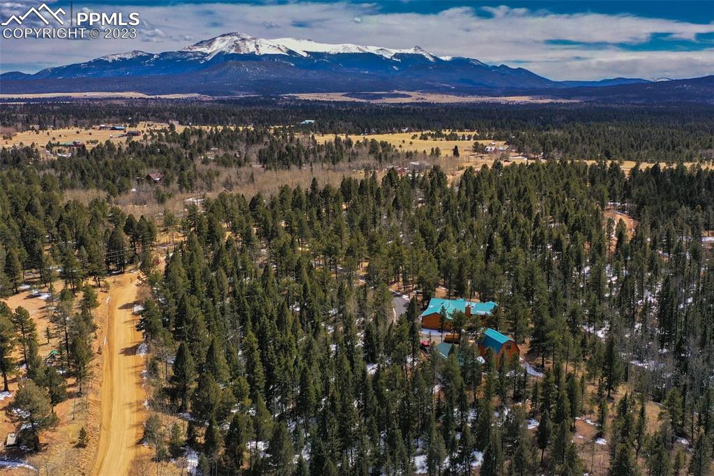 265 Broken Wheel Drive Divide, CO 80814 - Photo 42 of 50