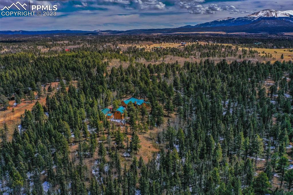 265 Broken Wheel Drive Divide, CO 80814 - Photo 44 of 50