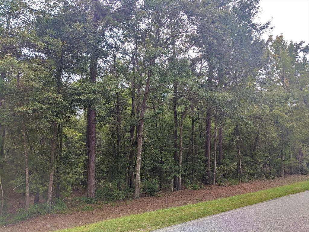 1251 Louisville Road Harlem, GA 30814 - Photo 1 of 5 Main View