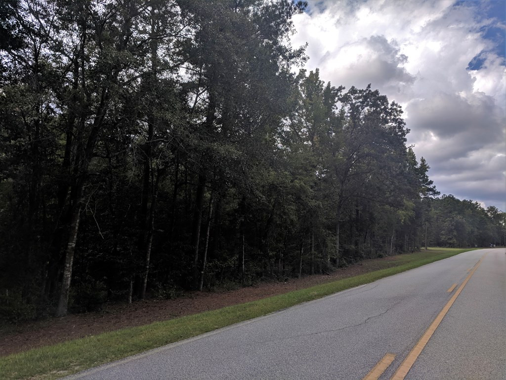 1251 Louisville Road Harlem, GA 30814 - Photo 3 of 5