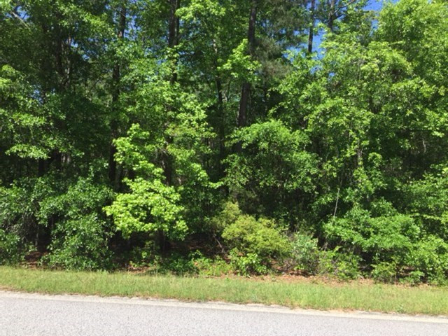 1251 Louisville Road Harlem, GA 30814 - Photo 5 of 5
