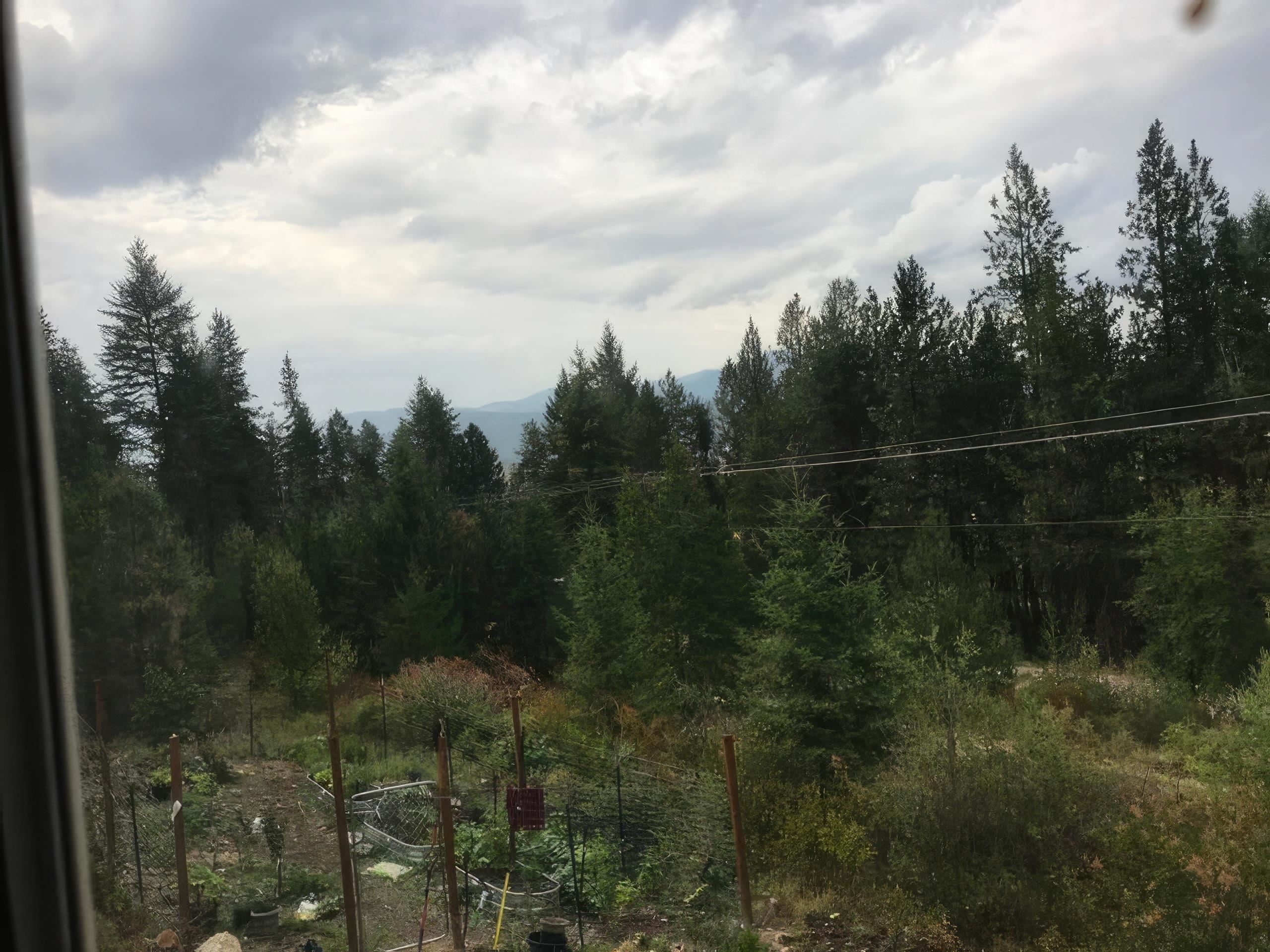 2190 Heine Road Chewelah, WA 99109 - Photo 14 of 14