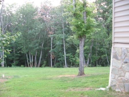 470 Green Level Road Boones Mill, VA 24065 - Photo 3 of 10 a view of a park with a tree