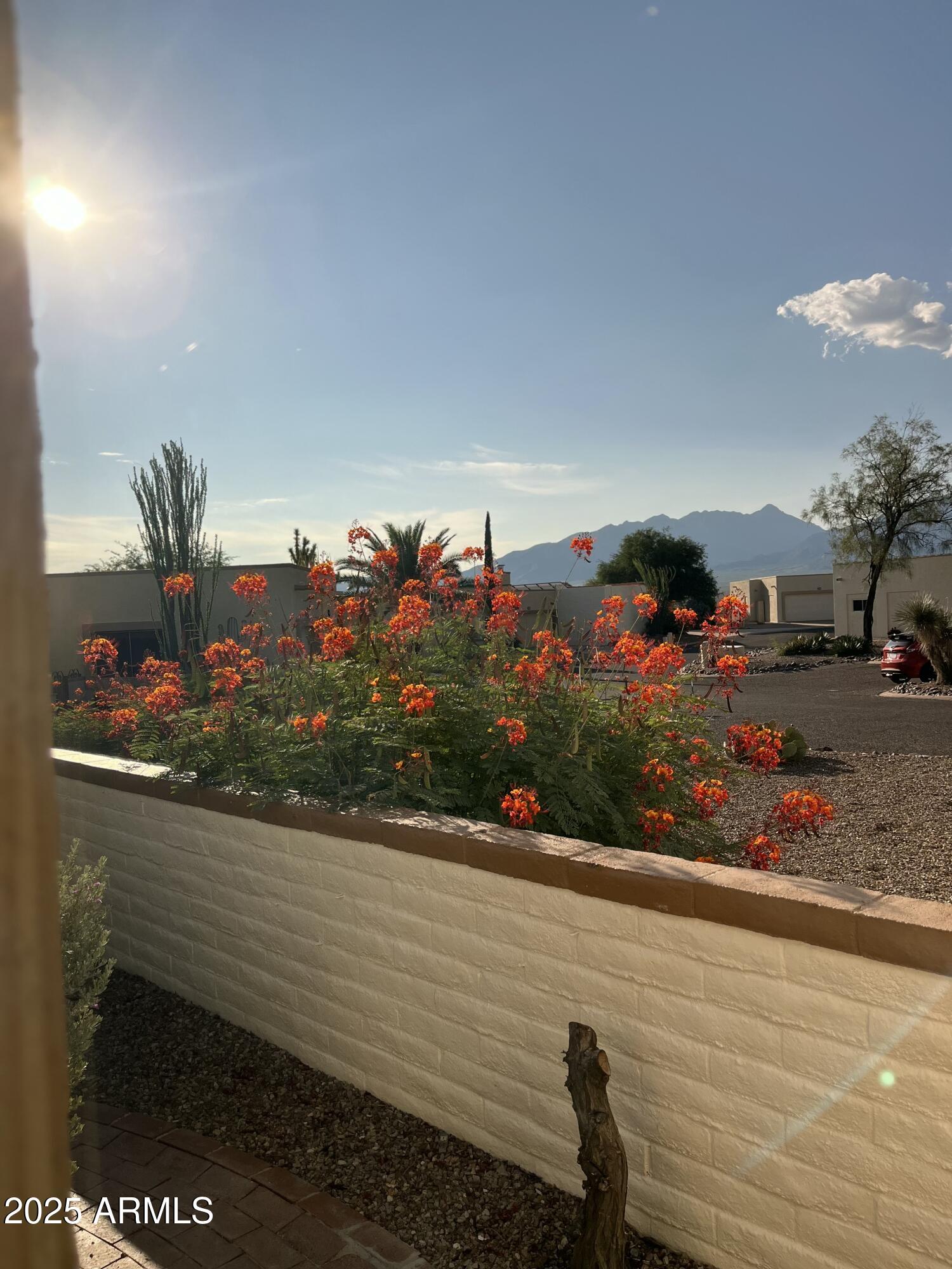 1172 West Mountain View Green Valley, AZ 85622 - Photo 10 of 35 View